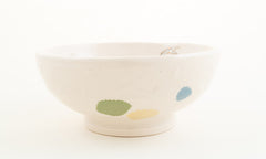 Raccoon and Dragonfly Bowl (b-952)